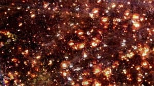 The Picture from Darkness — foto 1