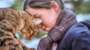 Mon chat et moi, la grande aventure de Rroû — foto 12