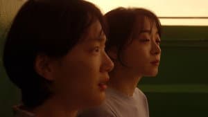 가장 보통의 하루 — foto 6