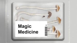 Magic Medicine — foto 2