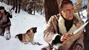 Il richiamo del lupo — foto 2