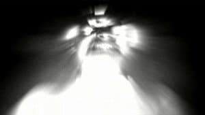 Tesla's Suicide — foto 1