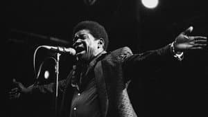 Charles Bradley : Musiques en Stock 2016 — foto 1