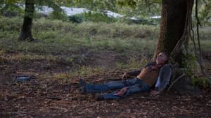 L'ombra del lupo — foto 2