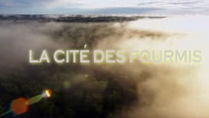 La cité des fourmis — foto 1