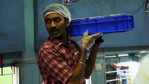 தொடரி — foto 10