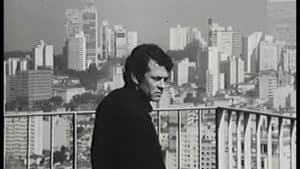 São Paulo: Sinfonia e Cacofonia — foto 2
