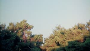 Sotiros — foto 4