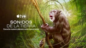 Sonidos de la Tierra — foto 10
