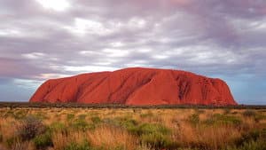 Wild Down Under — foto 1