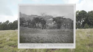 The Recce — foto 1