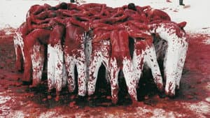 Das Aktionstheater Des Hermann Nitsch Zwischen Herkunft Und Zukunft — foto 1