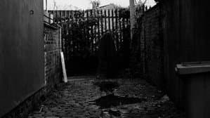 The Wail of the Banshee — foto 1