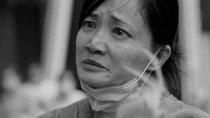 又是充满希望的一天 — foto 1