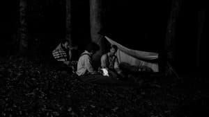 Buried on Shine Mountain — foto 3