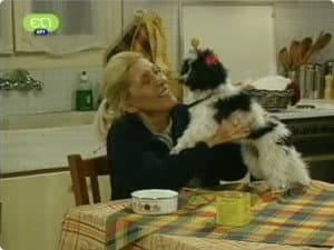 Episodio 12