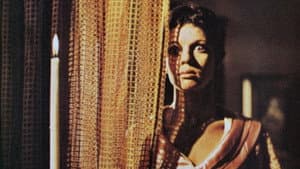 A Mulher do Desejo — foto 1