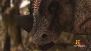 Episodio 10