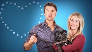 The Dog Lover's Guide to Dating — foto 1