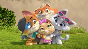 44 gatos — foto 5