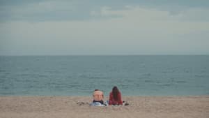 Shiner — foto 5