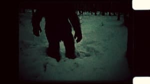 The Kinderhook Creature: In the Shadow of Sasquatch — foto 4
