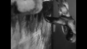 VAZIO — foto 8
