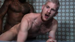 Take That Black Dick White Boy — foto 1