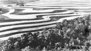 The Land — foto 1