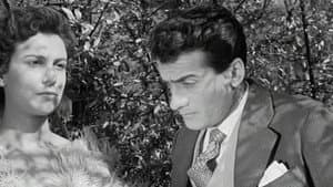 Το Οργανάκι του Αττίκ — foto 1