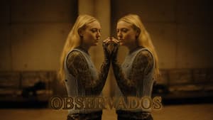 Observados — foto 4