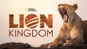Lion Kingdom — foto 10