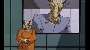 Episodio 13
