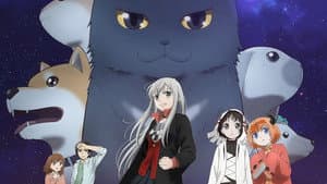 Kawaisugi Crisis — foto 2