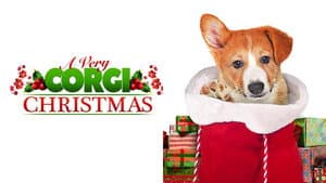 Una Navidad Con Corgi — foto 4