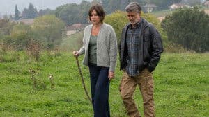 Au coeur de nos terres — foto 1
