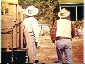 Episodio 37