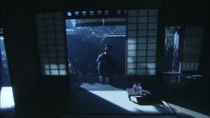 Episodio 24