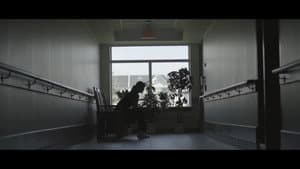 A Mother's Love — foto 1