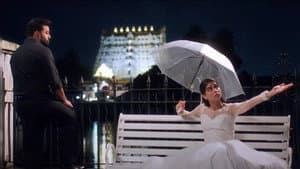 Mr and Mrs ബാച്‌ലർ — foto 1