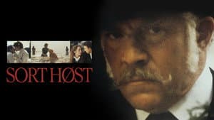 Sort høst — foto 1