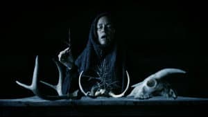 Mother of Flies — foto 1