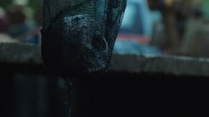 Sector 36 — foto 6