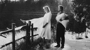 Hanna Monster, Liebling — foto 3