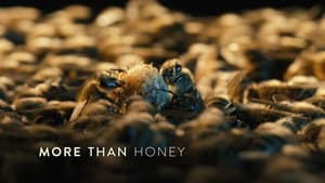 More Than Honey — foto 3