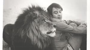 Frasier, the Sensuous Lion — foto 1