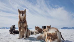 Arctic Circle — foto 1