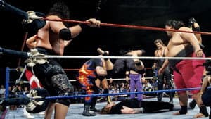 WWE Royal Rumble 1994 — foto 5
