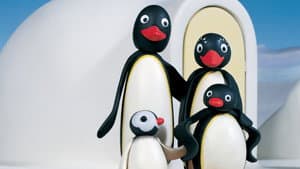 Pingu — foto 5