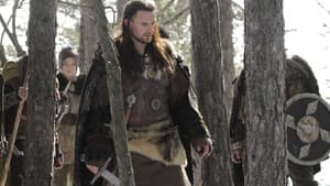 Vikingos y Dragones — foto 6